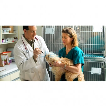 Veterinary Lab Equipments